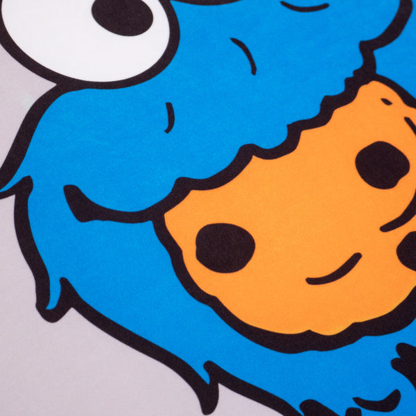 Flexforma Lasten Säkkituoli Lapsille 1-3 vuotta - Keksimonsteri Fabric Close-up Image