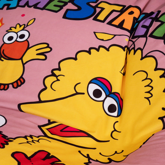 Sloucher Sohvasäkkituoli - Sesame Street 03