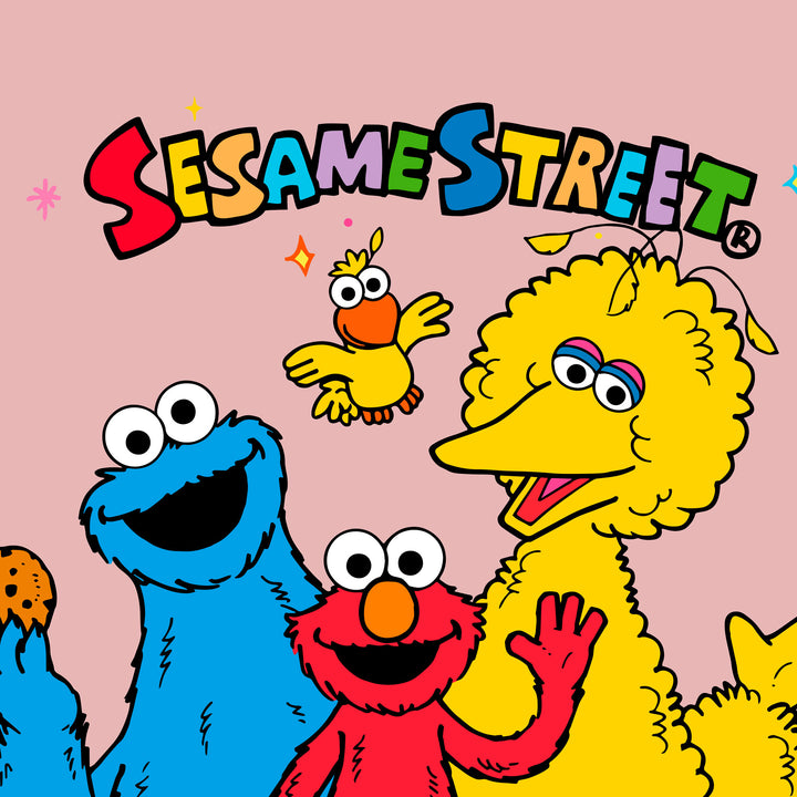 Sloucher Sohvasäkkituoli - Sesame Street 04
