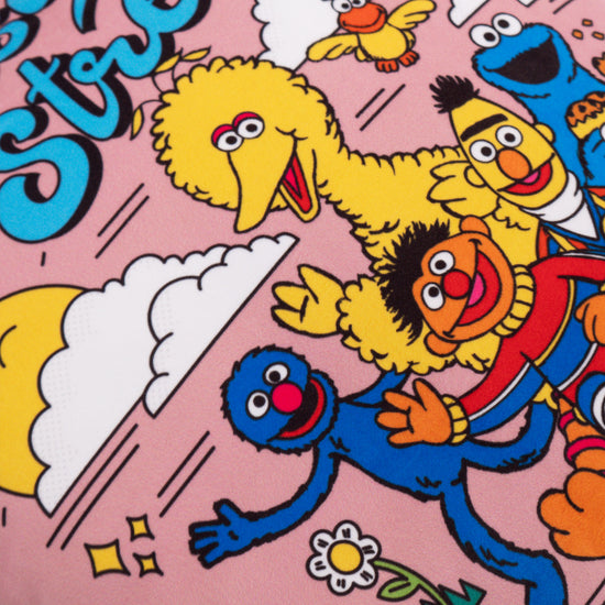 Tyynynsuojus 47 x 47cm - Sesame Street Since 1969 03