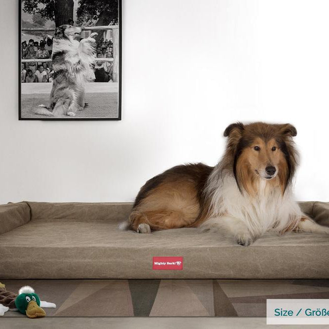 Mighty Bark, The Bench, Ortopedinen Muistivaahtotäytteinen Koiran Sänky, Kivipesty Denim-kangas Khaki