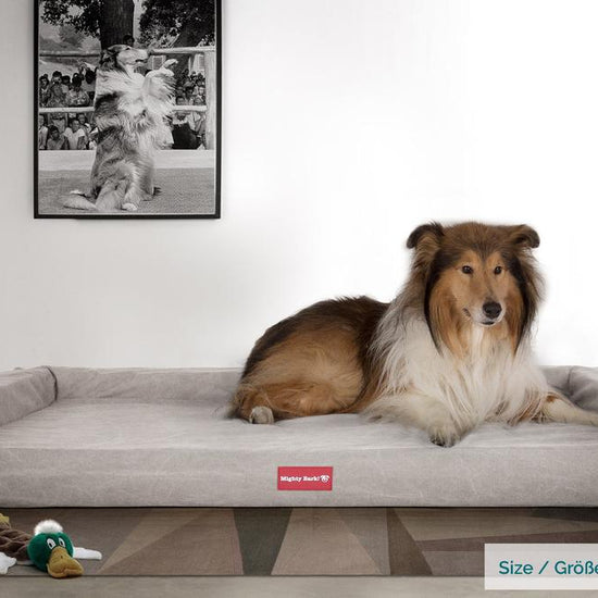 Mighty Bark, The Bench, Ortopedinen Muistivaahtotäytteinen Koiran Sänky, Kivipesty Denim-kangas Harmaa