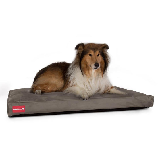 Mighty Bark, The Mattress, Ortopedinen Klassinen Muistivaahtotäytteinen Koiran Sänky, Vedenpitävä Harmaa