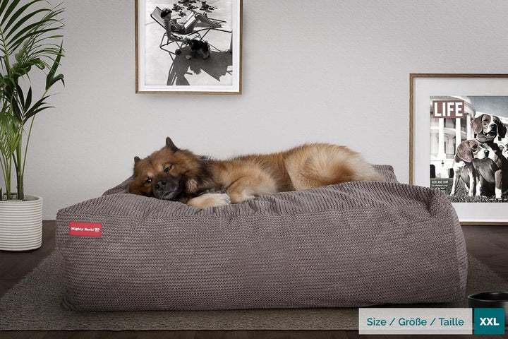 Mighty Bark, The Crash Pad , Muistivaahtotäytteinen Koiran Sänky, Pompula Hiilen harmaa