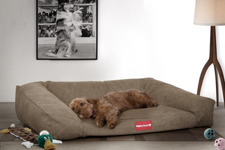Mighty Bark, The Sofa, Ortopedinen Muistivaahtotäytteinen Koiran Sohvasänky, Kivipesty Denim-kangas Khaki