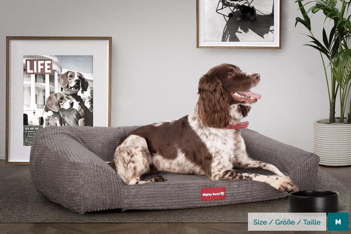 Mighty Bark, The Sofa, Ortopedinen Muistivaahtotäytteinen Koiran Sohvasänky, Pompula Hiilen harmaa